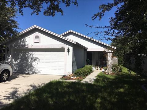 11210 Summer Star Dr, Riverview, FL 33579 photo 1