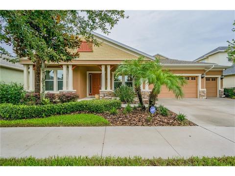 15802 Oakleaf Run Dr, Lithia, FL 33547 photo 1