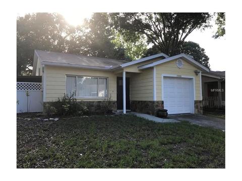 13432 Laraway Dr, Riverview, FL 33579 photo 1