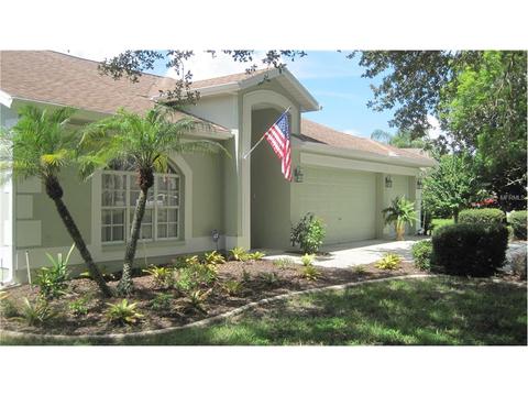 11201 Longbrooke Dr, Riverview, FL 33579 photo 1
