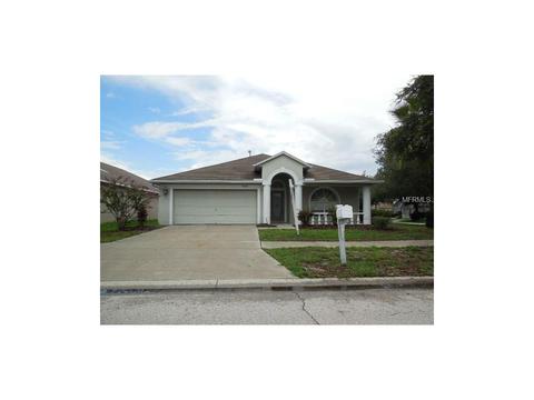 12825 Standbridge Dr, Riverview, FL 33579 photo 1
