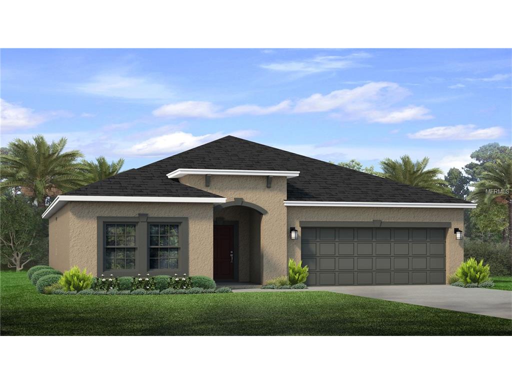 8113 Brickleton Woods Ave, Riverview, FL 33578 photo 1