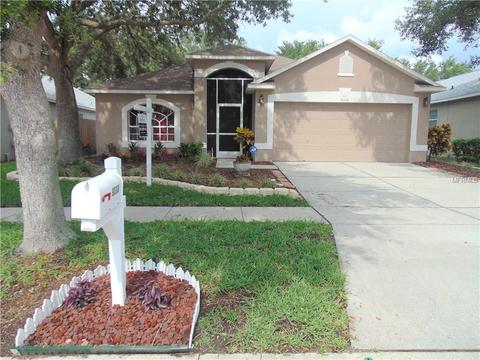 9339 Hidden Water Cir, Riverview, FL 33578 photo 1