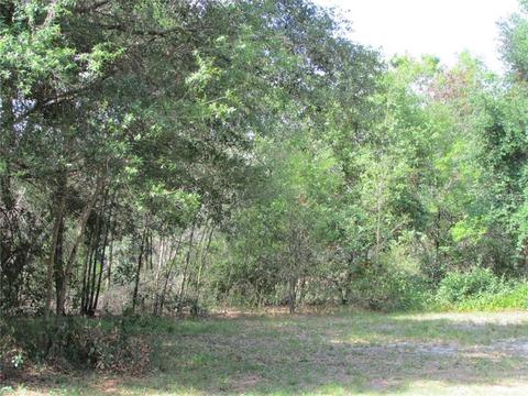 607 E Chapman Rd, Lutz, FL 33549 photo 1