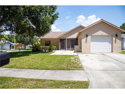 11309 Silverleaf Ct, Riverview, FL 33579 photo 1
