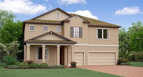 11617 Sunburst Marble Rd, Riverview, FL 33579 photo 1