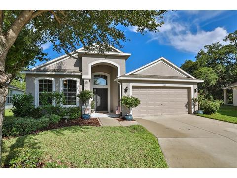 7145 Forest Mere Dr, Riverview, FL 33578 photo 1