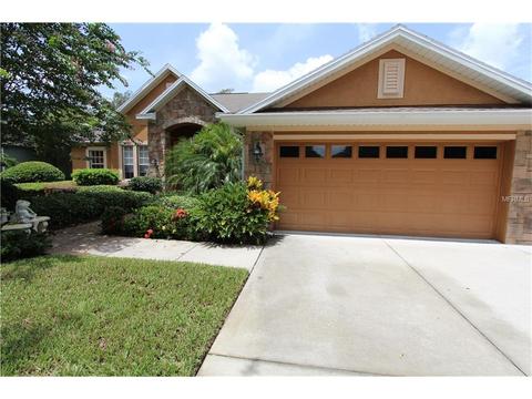 5824 Terncrest Dr, Lithia, FL 33547 photo 1