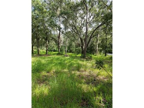 3902 Jerry Smith Rd, Dover, FL 33527 photo 1