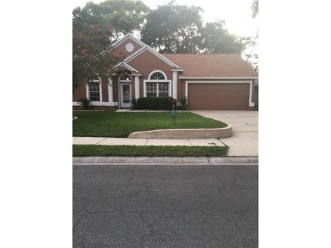 5817 Erhardt Dr, Riverview, FL 33578 photo 1