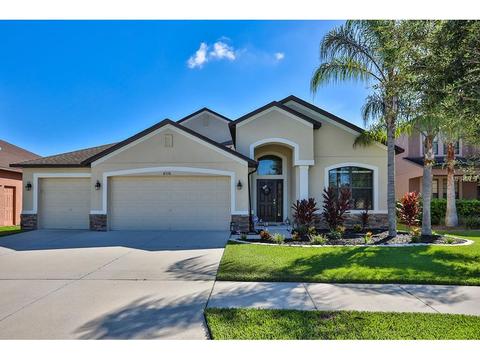 8536 White Poplar Dr, Riverview, FL 33578 photo 1