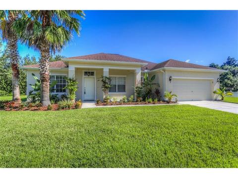 12304 Bramfield Dr, Riverview, FL 33579 photo 1