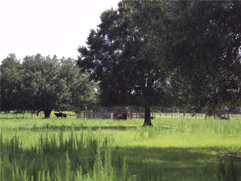 9909 Bryant Rd, Lithia, FL 33547 photo 1