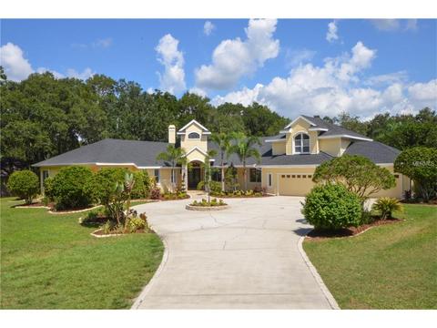 2822 Bryan Rd, Brandon, FL 33511 photo 1