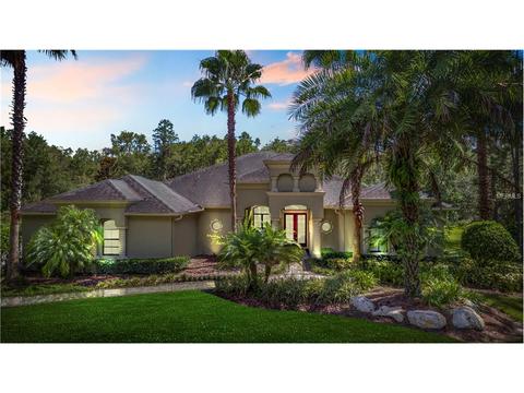 416 Pine Bluff Dr, Lutz, FL 33549 photo 1