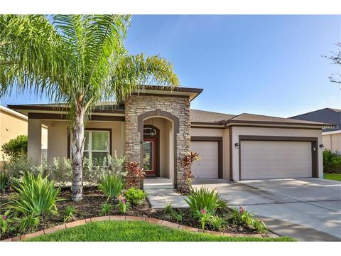 12326 Belcroft Dr, Riverview, FL 33579 photo 1