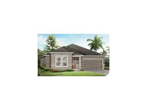 12228 Streambed Dr, Riverview, FL 33579 photo 1