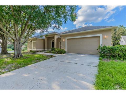 10221 Evening Trail Dr, Riverview, FL 33569 photo 1