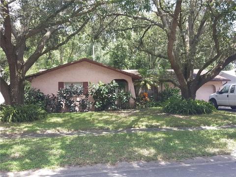 17841 Sunrise Dr, Lutz, FL 33549 photo 1