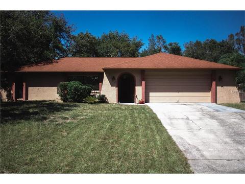 6317 Radford St, Spring Hill, FL 34606 photo 1