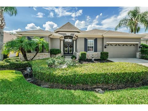 2130 Blue Beech Ct, Trinity, FL 34655 photo 1
