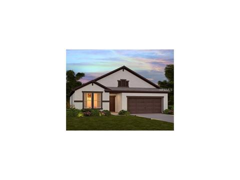 10526 Cardera Dr, Riverview, FL 33578 photo 1