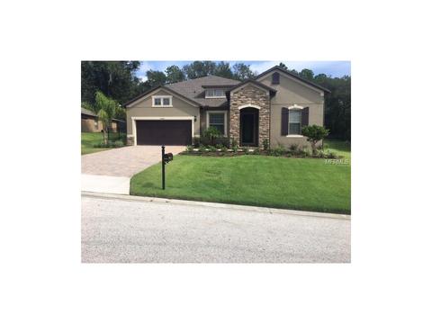 30228 Bretton Loop, Mount Dora, FL 32757 photo 1