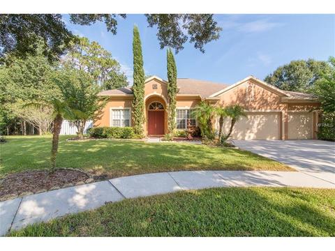 10720 Moss Island Dr, Riverview, FL 33569 photo 1