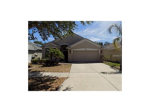 13716 Sigler St, Riverview, FL 33579 photo 1
