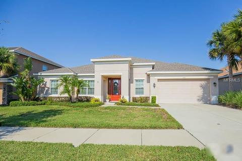 11405 Scribner Station Ln, Lithia, FL 33547 photo 1