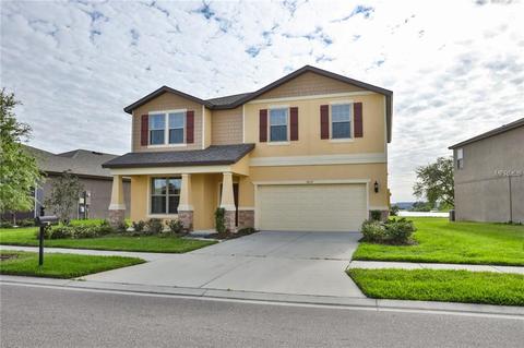 9117 Mountain Magnolia Dr, Riverview, FL 33578 photo 1