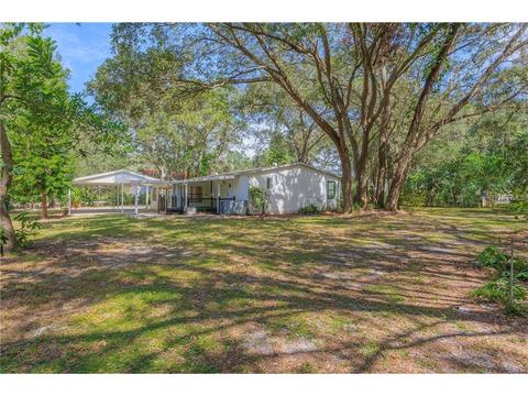 10601 Browning Rd, Lithia, FL 33547 photo 1