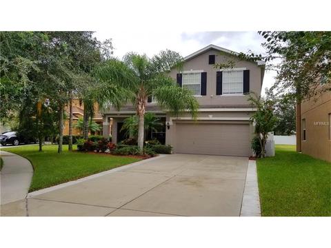 11264 Creek Haven Dr, Riverview, FL 33569 photo 1