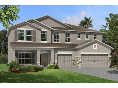 11437 Carlton Fields Dr, Riverview, FL 33579 photo 1