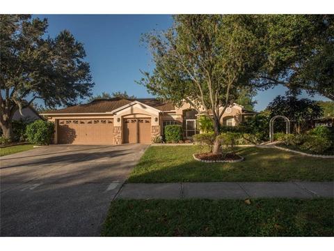 10205 Tarragon Dr, Riverview, FL 33569 photo 1