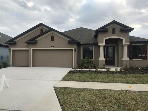 11629 Iris Spring Ct, Riverview, FL 33579 photo 1