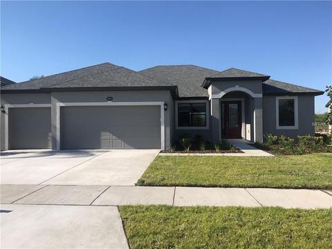 11624 Iris Spring Ct, Riverview, FL 33579 photo 1