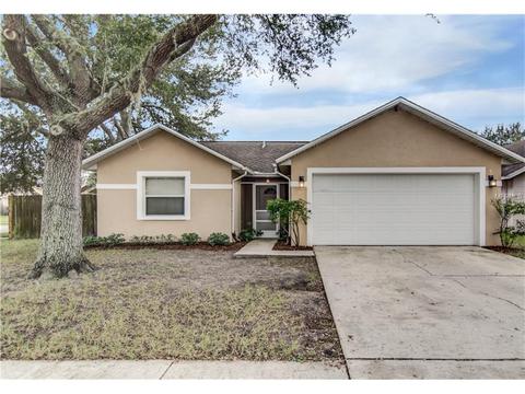 11311 Brownstone Ct, Riverview, FL 33569 photo 1