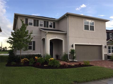 11525 Luckygem Dr, Riverview, FL 33579 photo 1