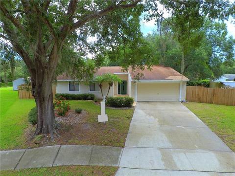 702 Fenner Ct, Brandon, FL 33511 photo 1
