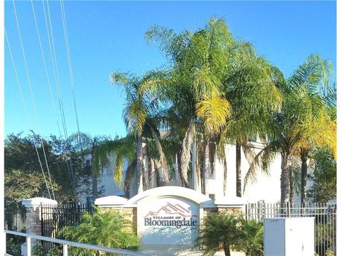 6207 Olivedale Dr, Riverview, FL 33578 photo 1