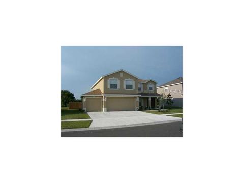 7624 Dragon Fly, Gibsonton, FL 33534 photo 1