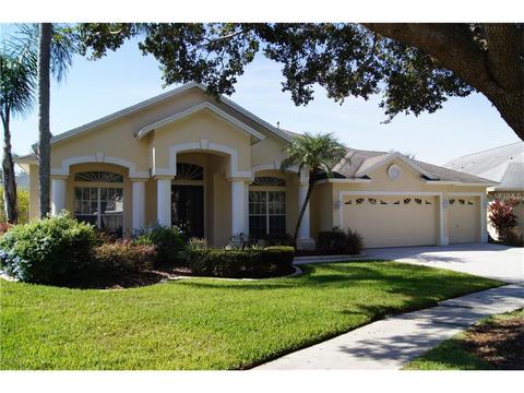 19345 Wind Dancer Dr, Lutz, FL 33558 photo 1