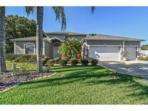 23739 Peace Pipe Ct, Lutz, FL 33559 photo 1