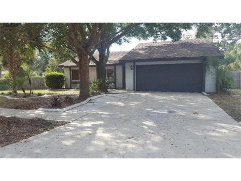 735 Climate Dr, Brandon, FL 33511 photo 1