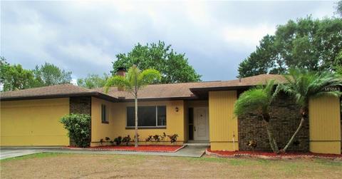 305 Mahogany Dr, Seffner, FL 33584 photo 1