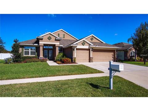 11839 Newberry Grove Loop, Riverview, FL 33579 photo 1