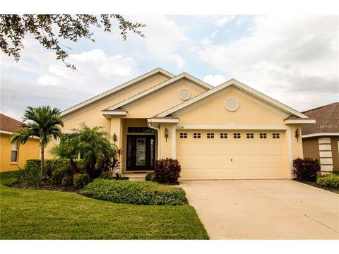 11124 Irish Moss Ave, Riverview, FL 33569 photo 1