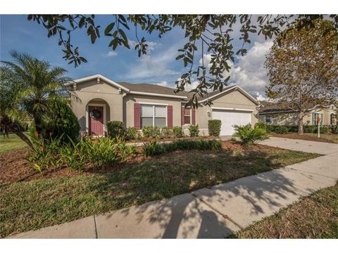5220 Moon Shell Dr, Apollo Beach, FL 33572 photo 1