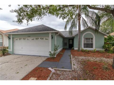 11032 Peppersong Dr, Riverview, FL 33578 photo 1